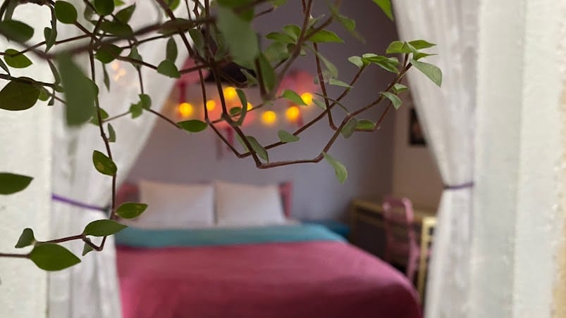 giường ngủ decor với cây 