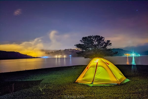 Cắm trại qua đêm tại cây thông