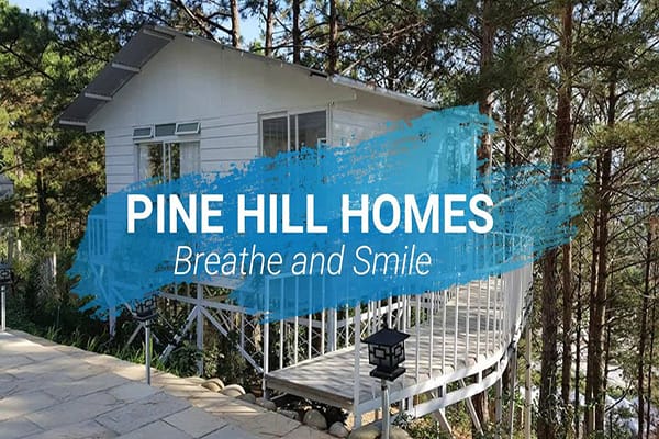 Pine Hill Homestay Đà Lạt ở đâu?