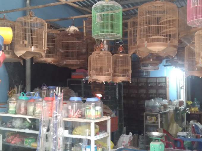 Top 8 cửa hàng chim cảnh tại Đà Lạt đẹp, giá tốt nhất