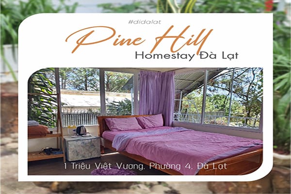 Pine Hill Homestay Đà Lạt – Khám phá căn nhà trên cây cực ấn tượng 1 Pine Hill Homestay Đà Lạt